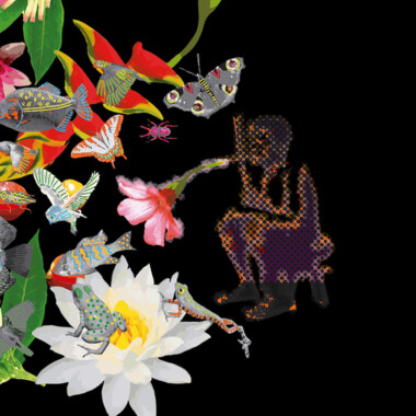 A black photo with a graphic by Denilson Baniwa on it. The colorful drawing shows various creatures such as frogs, insects, fish and plants next to and on top of each other. A seated human figure can be seen to the right.