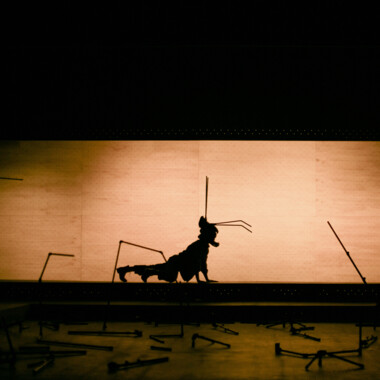 Im Zentrum der Bühne bewegt sich eine Figur mit mehreren langen Stangen und dunklen Kostümteilen, die eine tierähnliche Silhouette bildet. Die Figur ist seitlich ausgerichtet und wird von einem warmen, gelblichen Licht hinterleuchtet, das eine klare Kontur erzeugt. Im Vordergrund liegen zahlreiche Stangen und Mikrofone verstreut auf dem Boden. 