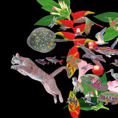 A black surface with a graphic by Denilson Baniwa on it. The colorful drawing shows various creatures such as a wild cat, fish, monkeys, birds and various plants next to and on top of each other.