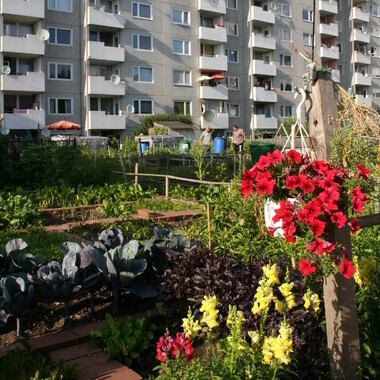 Ein blühender Garten vor einem Hochhaus.